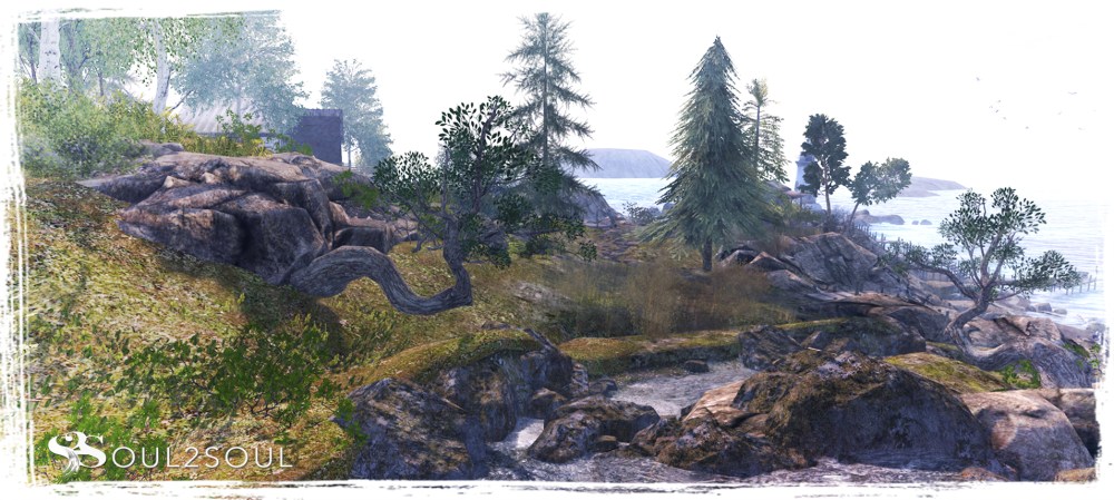 Rapids2
