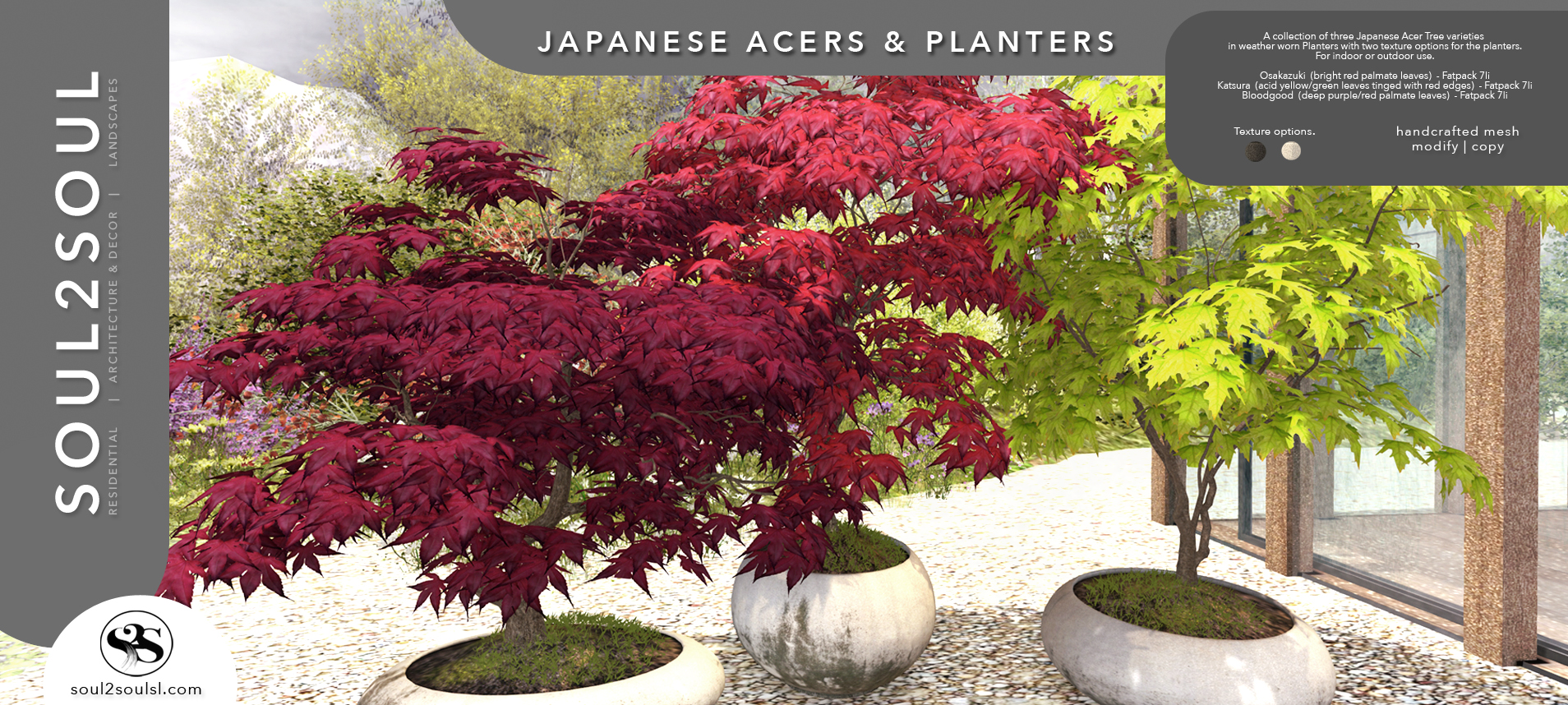 Japanese Acers & Planters at The Liaison Collaborative (TLC) event Japanese Acers & Planters at The Liaison Collaborative (TLC) event