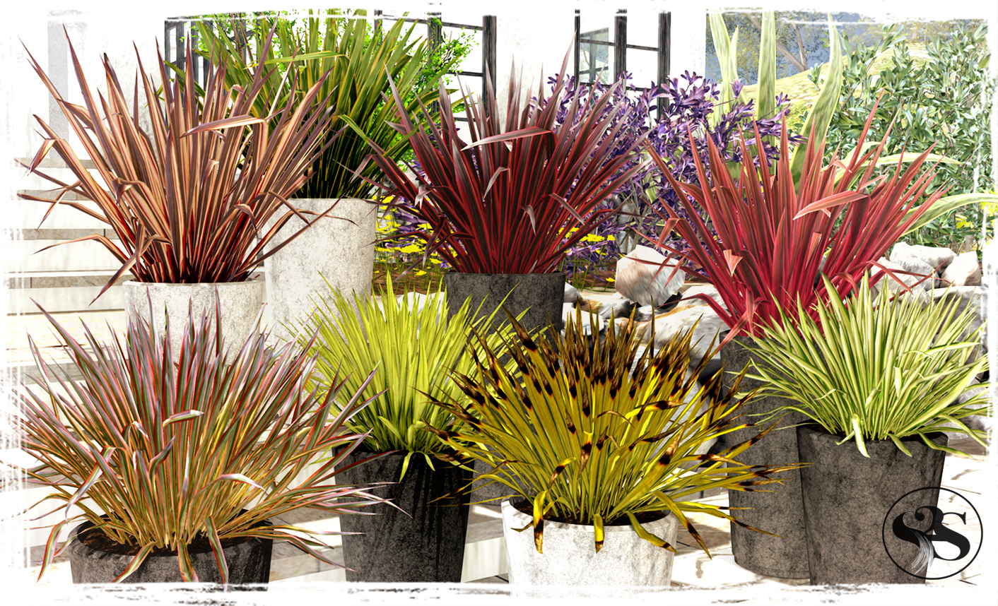 Phormium Planters at the Soul2Soul Mainstore Phormium Planters at the Soul2Soul Mainstore