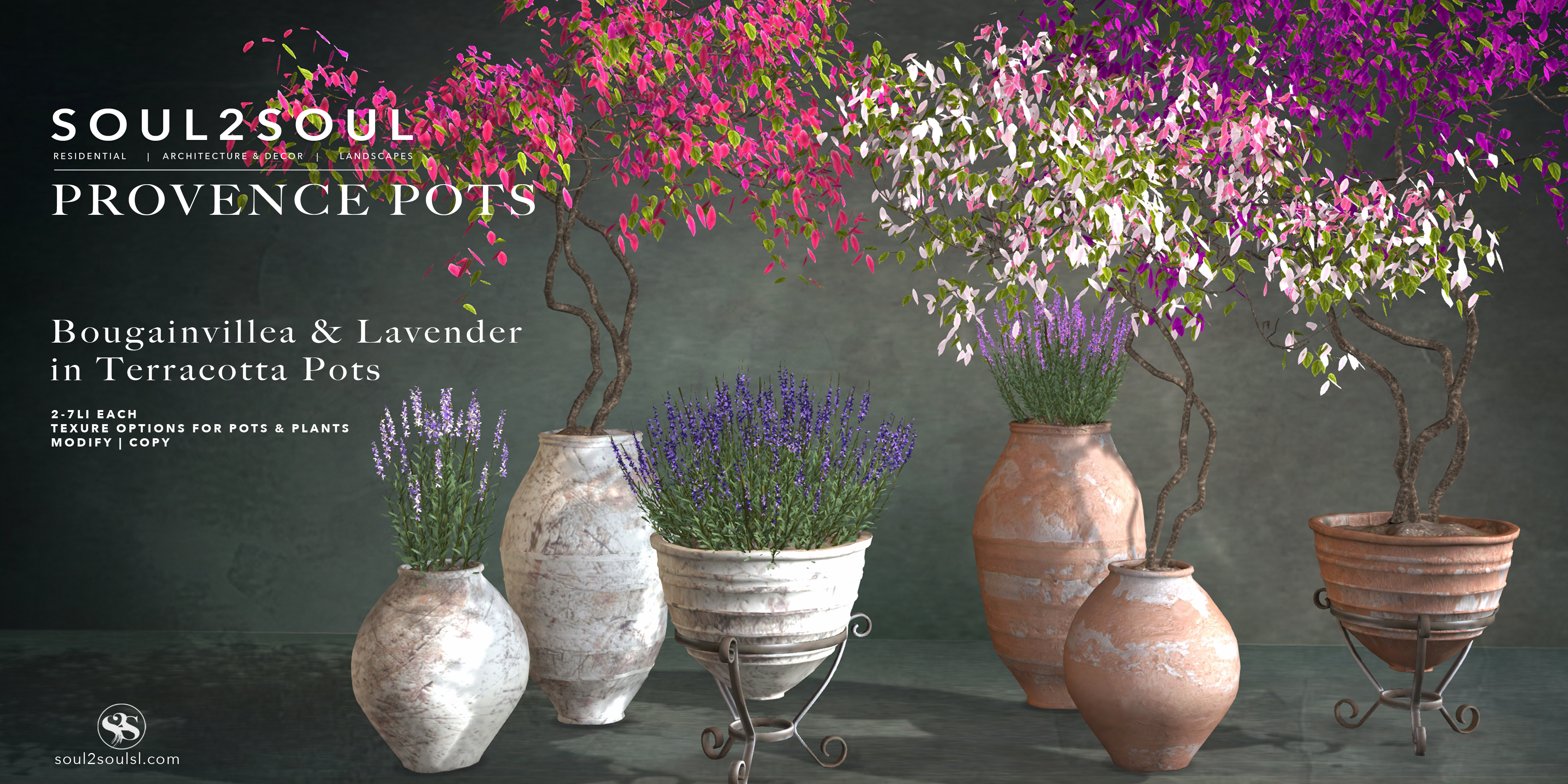 Provence Pots, Bougainvillea & Lavender at Cosmo